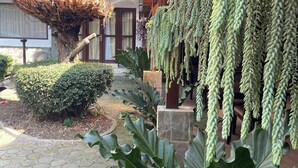 A courtyard with a large tree, a hanging plant, and a stone pathway. - Hotel Gegerkalong Asri (Bandung)