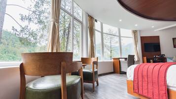 Panoramic Suite | View from room