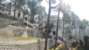 Um edifício com várias andares e varandas, cercado por árvores.
