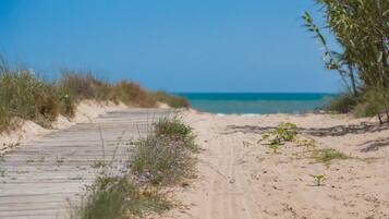 Playa en los alrededores