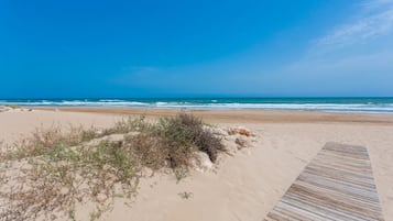 Playa en los alrededores