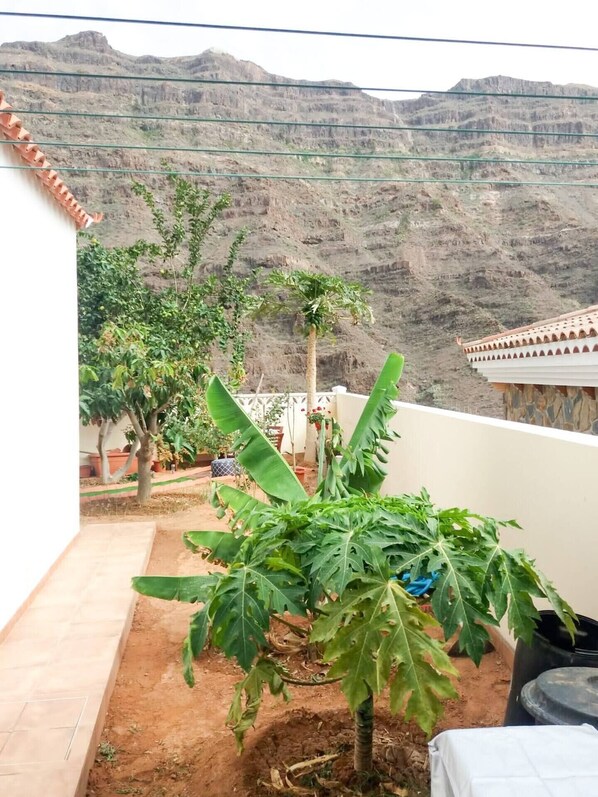 Un patio con vistas a un paisaje montañoso, una pequeña palmera y una planta en maceta.