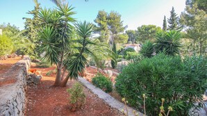 Un jardín con diversas plantas y árboles, un muro de piedra y un cielo despejado.