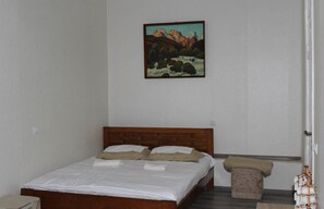 1 soverom, strykejern/-brett, wi-fi og senget øy