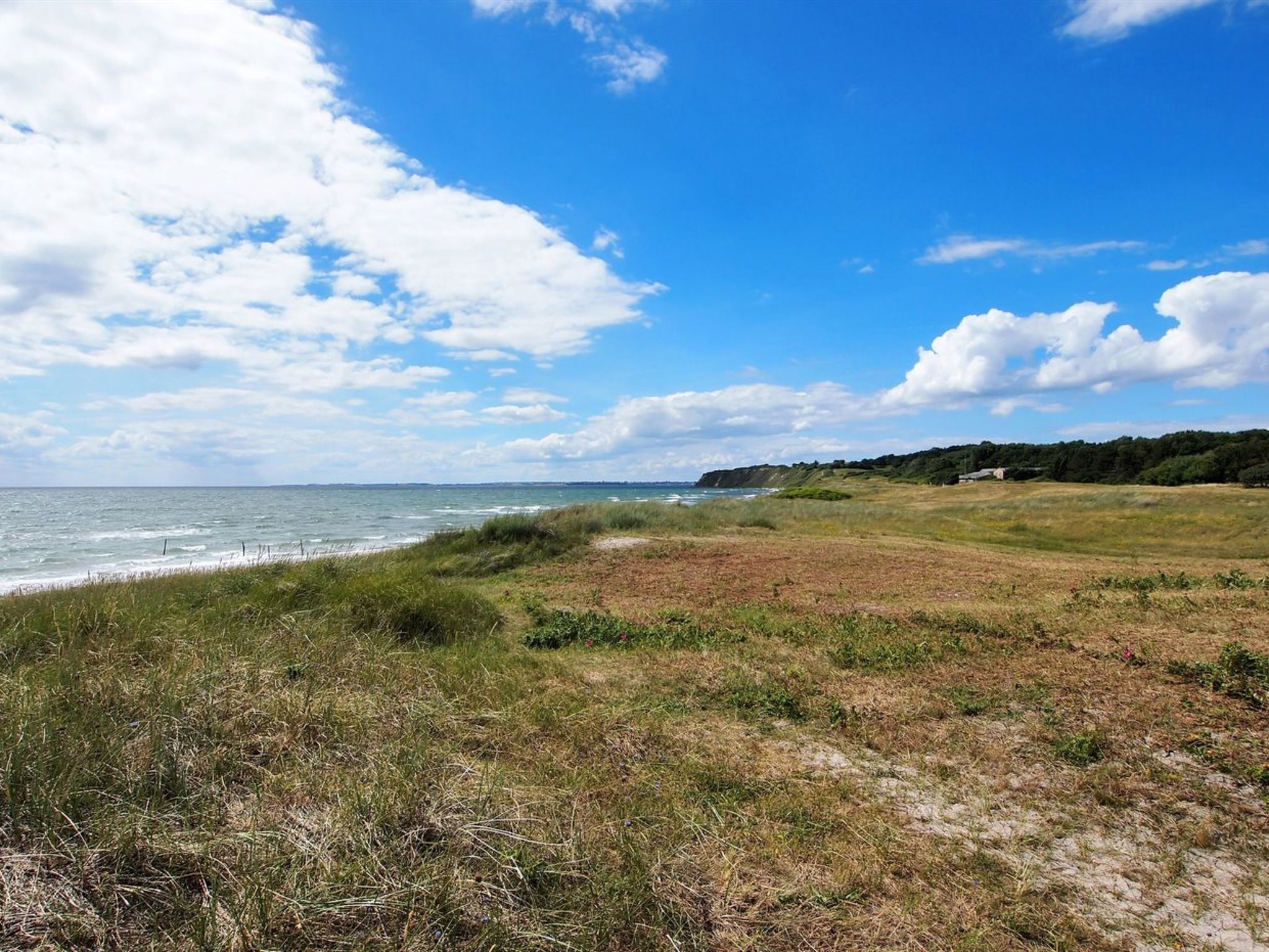 A coastal landscape with a grassy path leading to the beach, a clear sky, and distant hills.