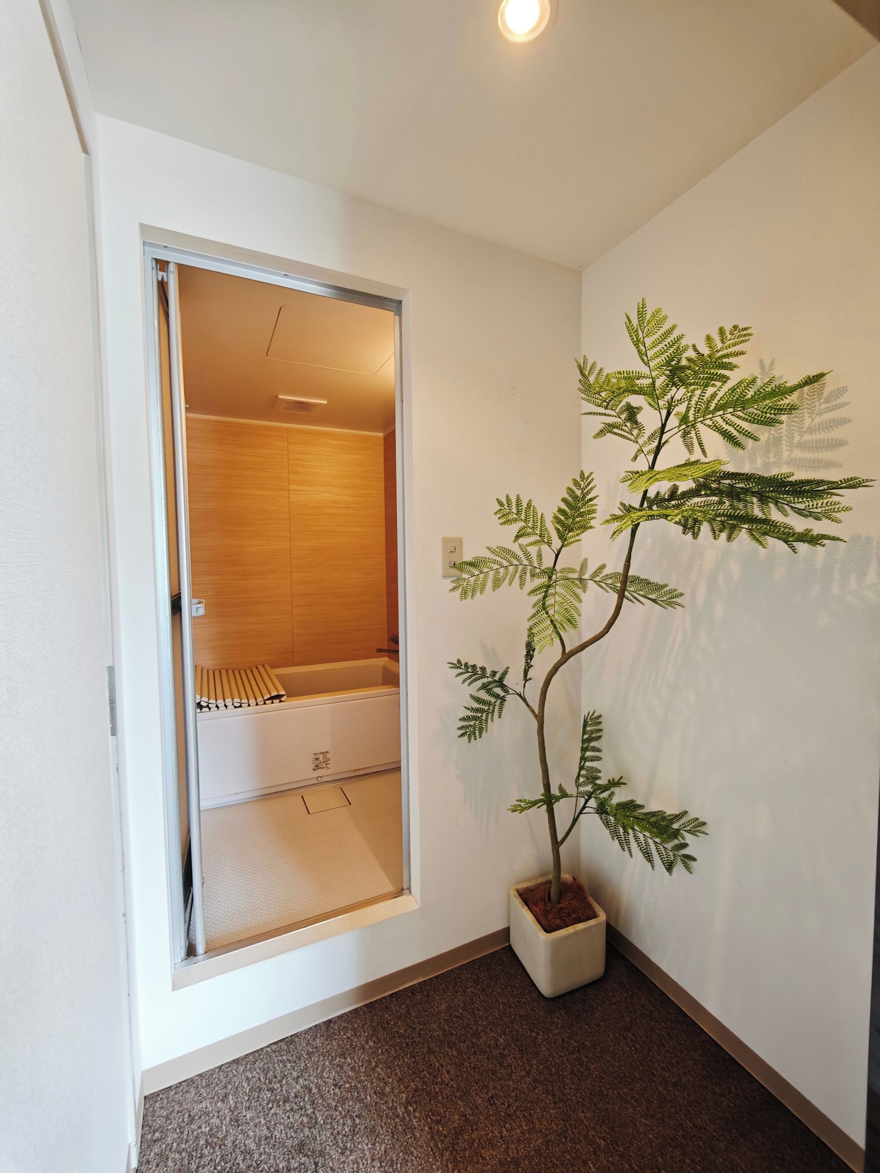 Una habitación con un aparador de madera, una planta en maceta y una pared blanca.
