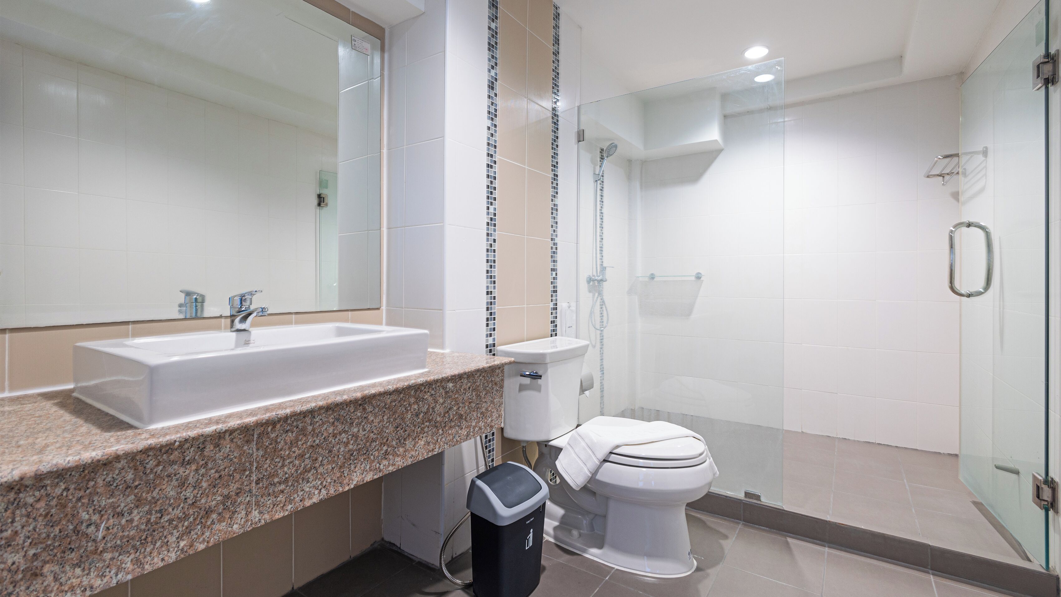 Une salle de bain moderne dotée d’un plan de toilette en granit, d’un lavabo blanc, de toilettes et d’une douche à parois de verre.