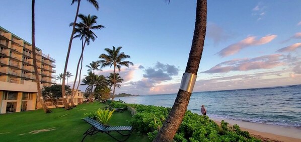 Property grounds - Beach Front Condo w/ Beautiful Sunrises on Private Sandy Beach + Turtles + Perfect Snorkel Spot (Hauula)