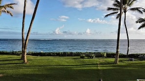 Guests can enjoy a serene beachfront setting with a well-maintained lawn and palm trees.