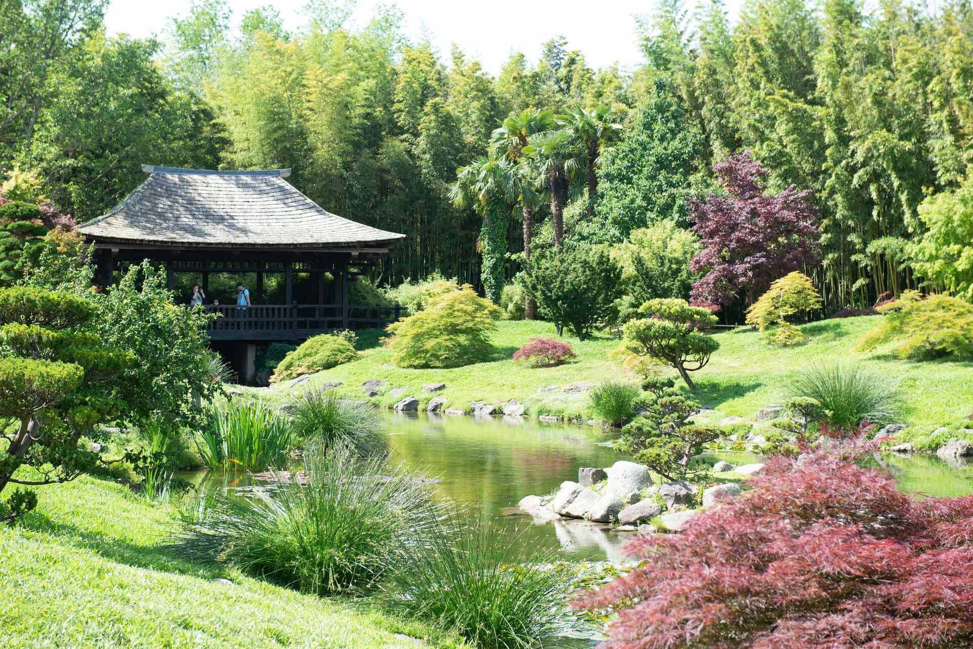 Un pavillon de style japonais traditionnel surplombe un étang, lui-même entouré d’une végétation luxuriante et de diverses plantes.
