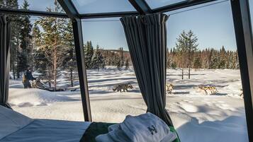 A room with a bed, a window, and a view of a snowy landscape with trees and a dog sled team.