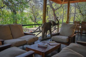Luxury Villa | Terrace/patio - Bush Villas on Kruger (Phalaborwa)