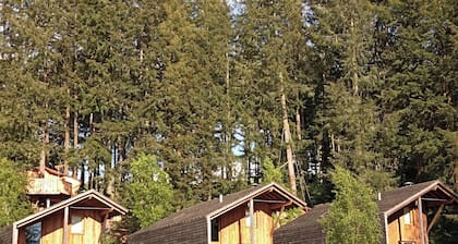 Discover Camping Le Lac des Sapins, a charming address in the heart of nature.