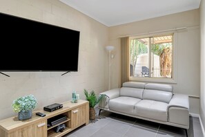 Smart TV, fireplace, video game console, books