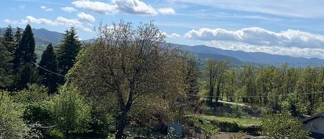 A lush green landscape with a clear blue sky, a variety of trees, and distant mountains.