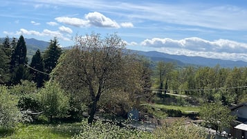 A lush green landscape with a clear blue sky, a variety of trees, and distant mountains.