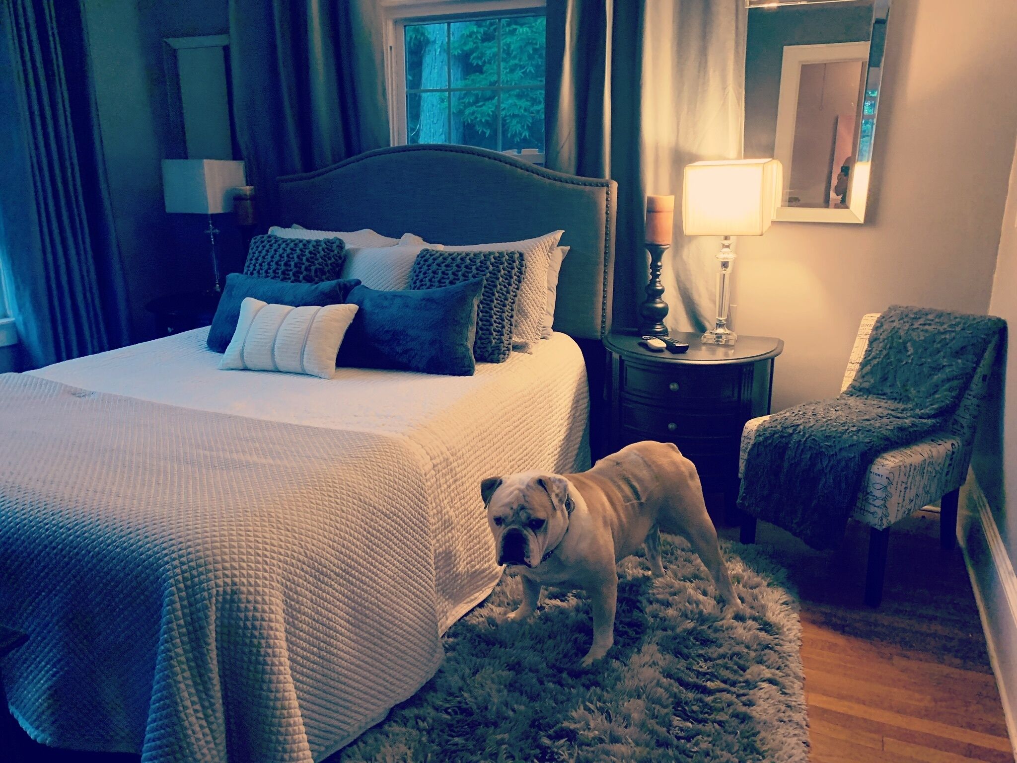 A Cozy 100 yr old New England Berkshires Dutch Colonial.\n\nLong term