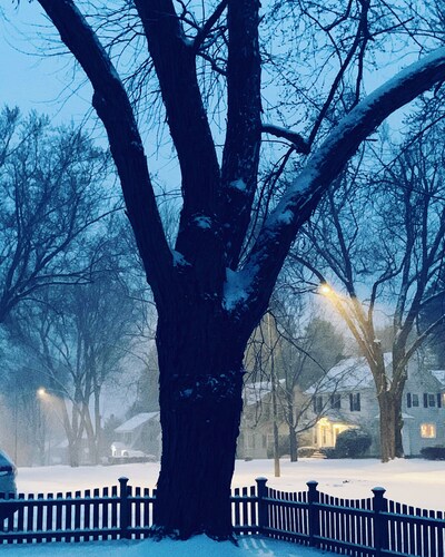 A Cozy 100 yr old New England Berkshires Dutch Colonial.

Long term available. 