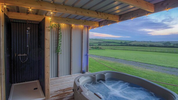 Uma banheira de hidromassagem e área de chuveiro com vista para o campo.