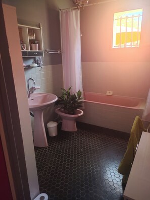 Haartrockner, Bidet, Handtücher, Toilettenpapier