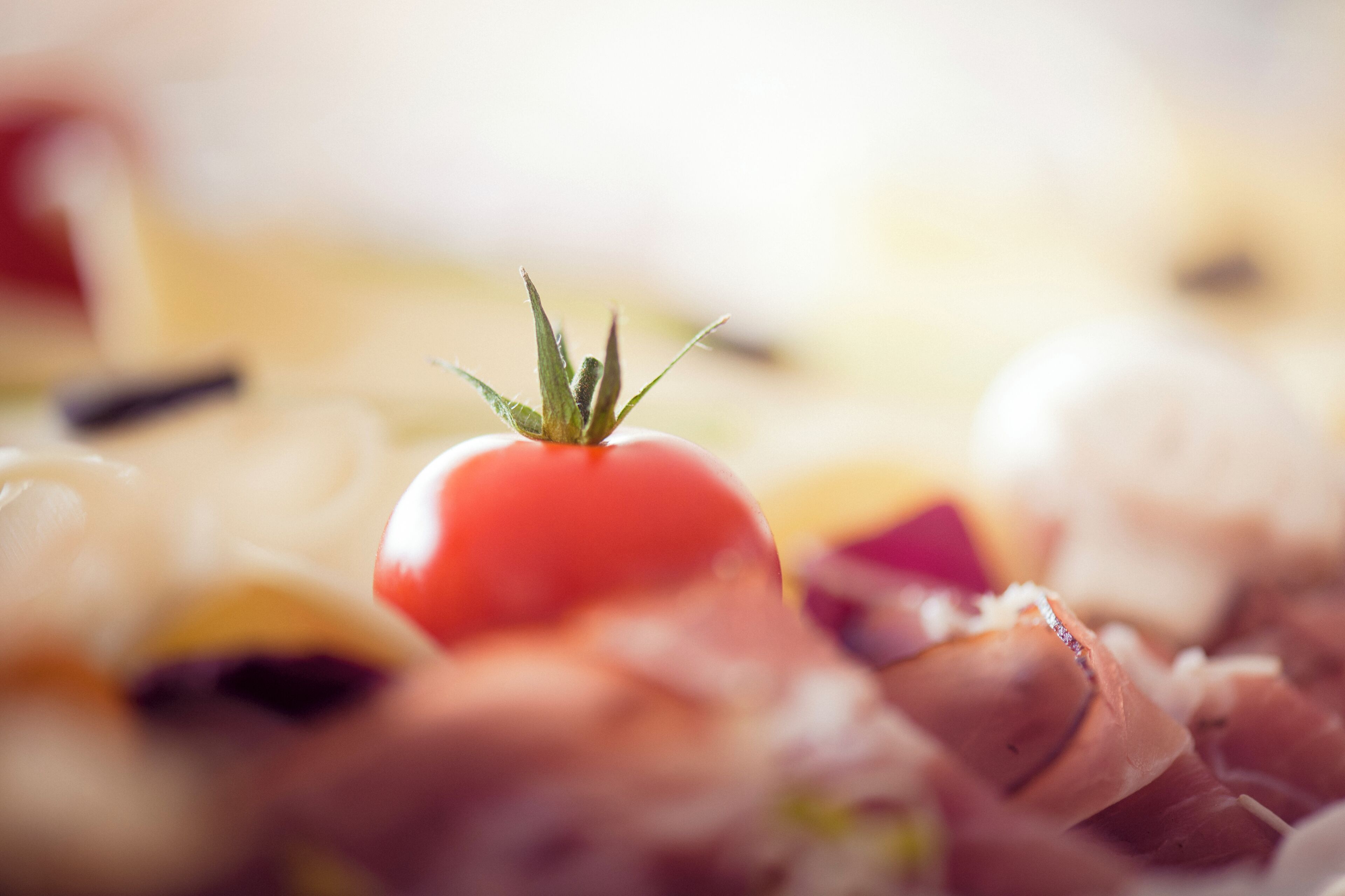 Un gros plan d’une tomate sur un arrière-plan flou.