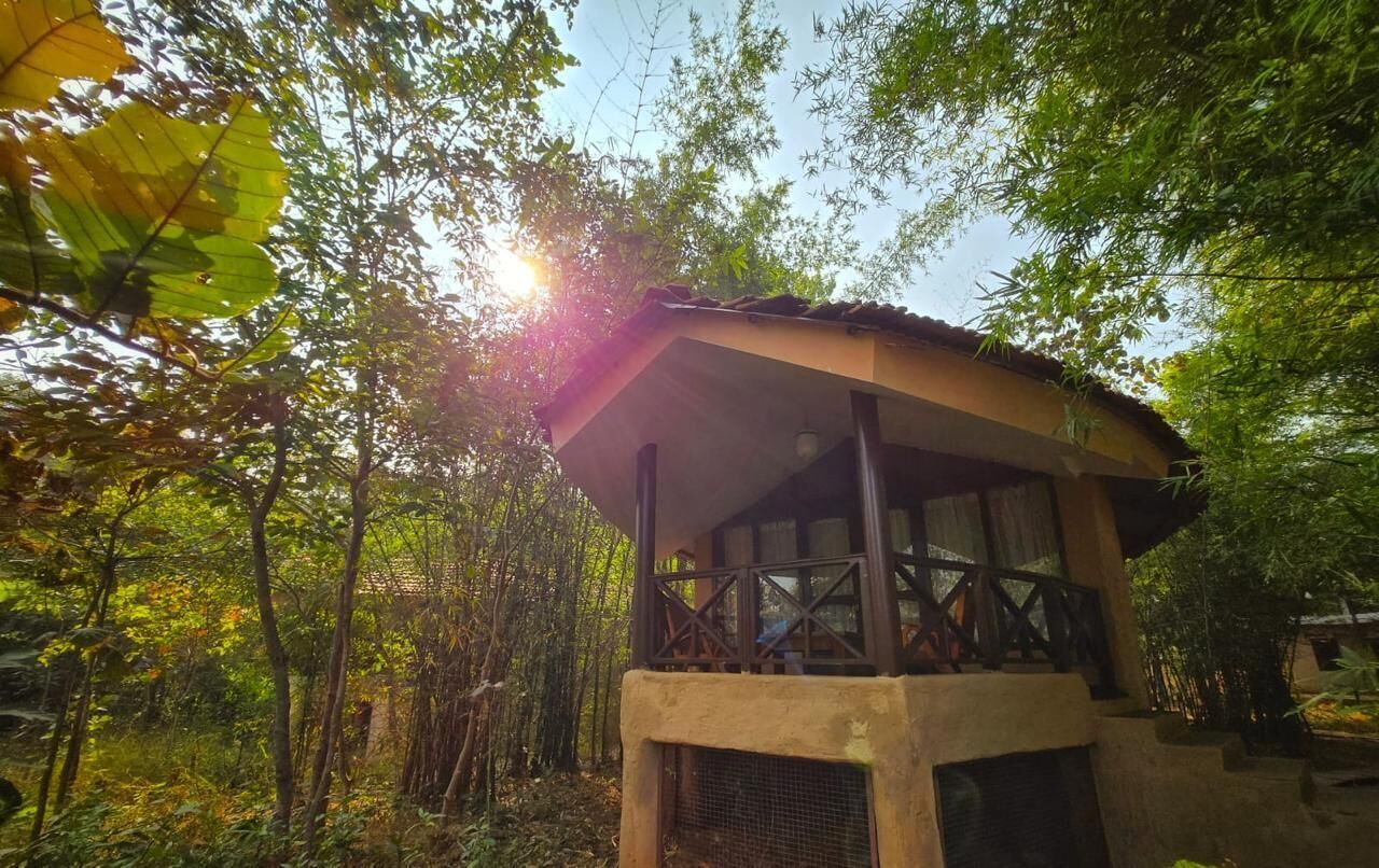 A rustic wooden structure with a balcony, surrounded by dense bamboo forest.