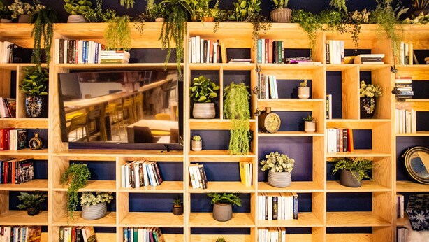 A bookshelf filled with books and potted plants, with a window in the middle. - Jost Hotel Le Havre Gare (Le Havre)