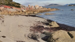A beach with rocky formations and seaweed along the shore.
