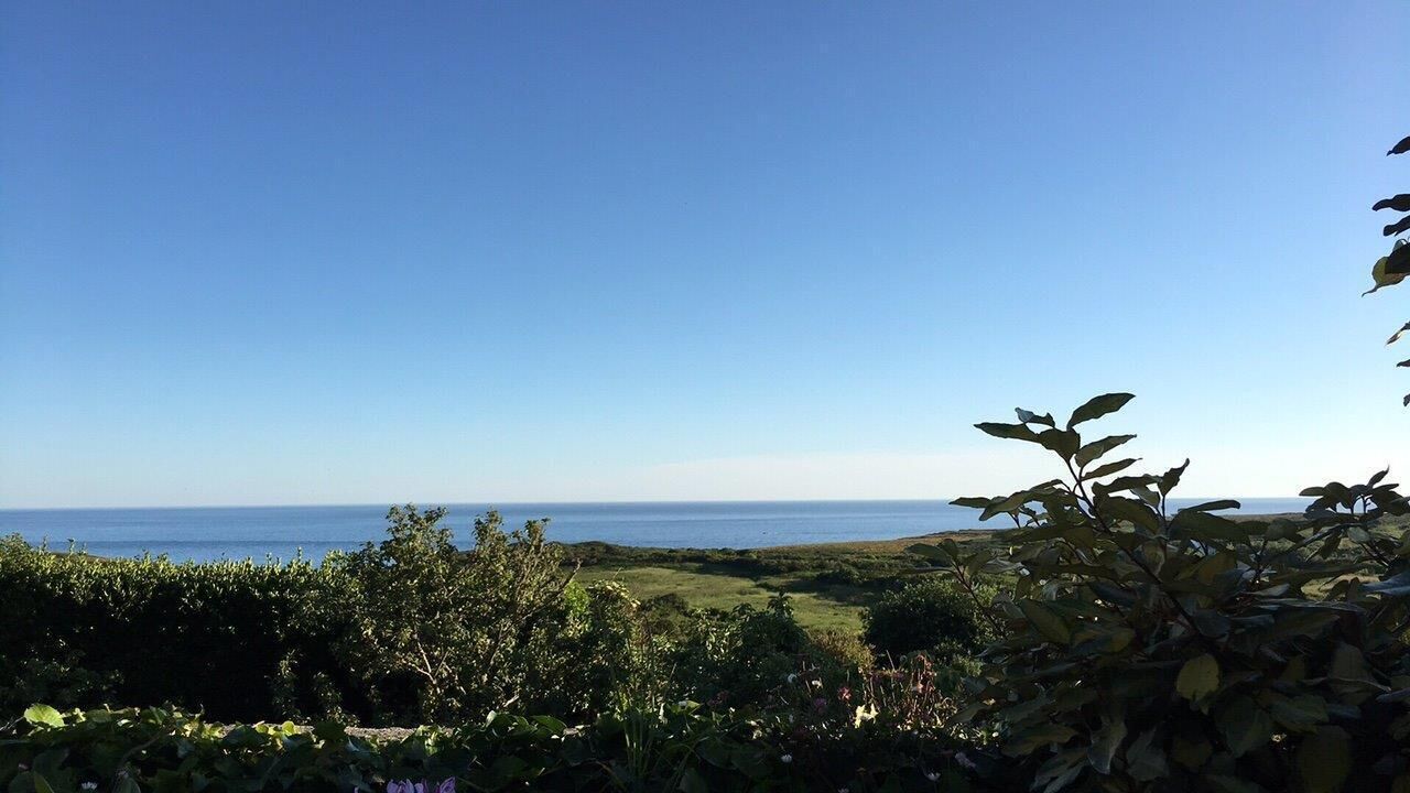 A coastal landscape with a clear sky, a view of the sea, and lush greenery in the foreground.