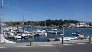 A marina with various boats docked, a clear sky, and houses in the background.