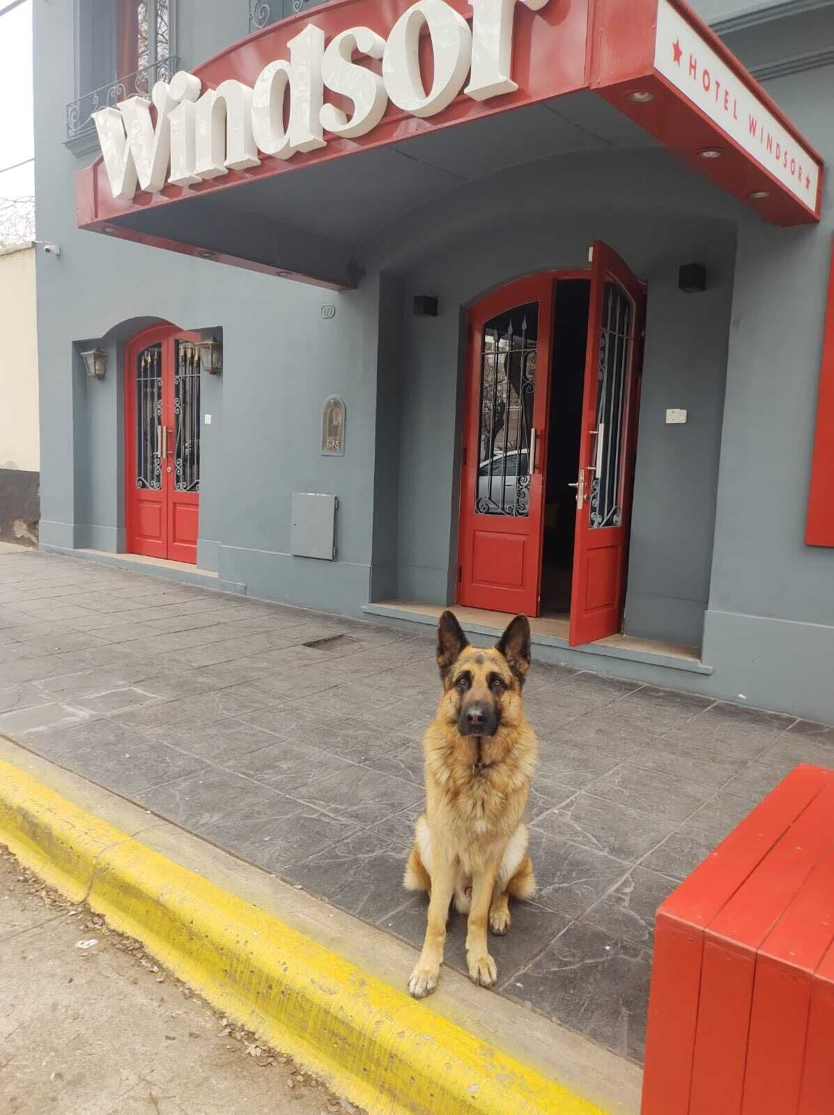 Photo - Hotel Windsor Mendoza