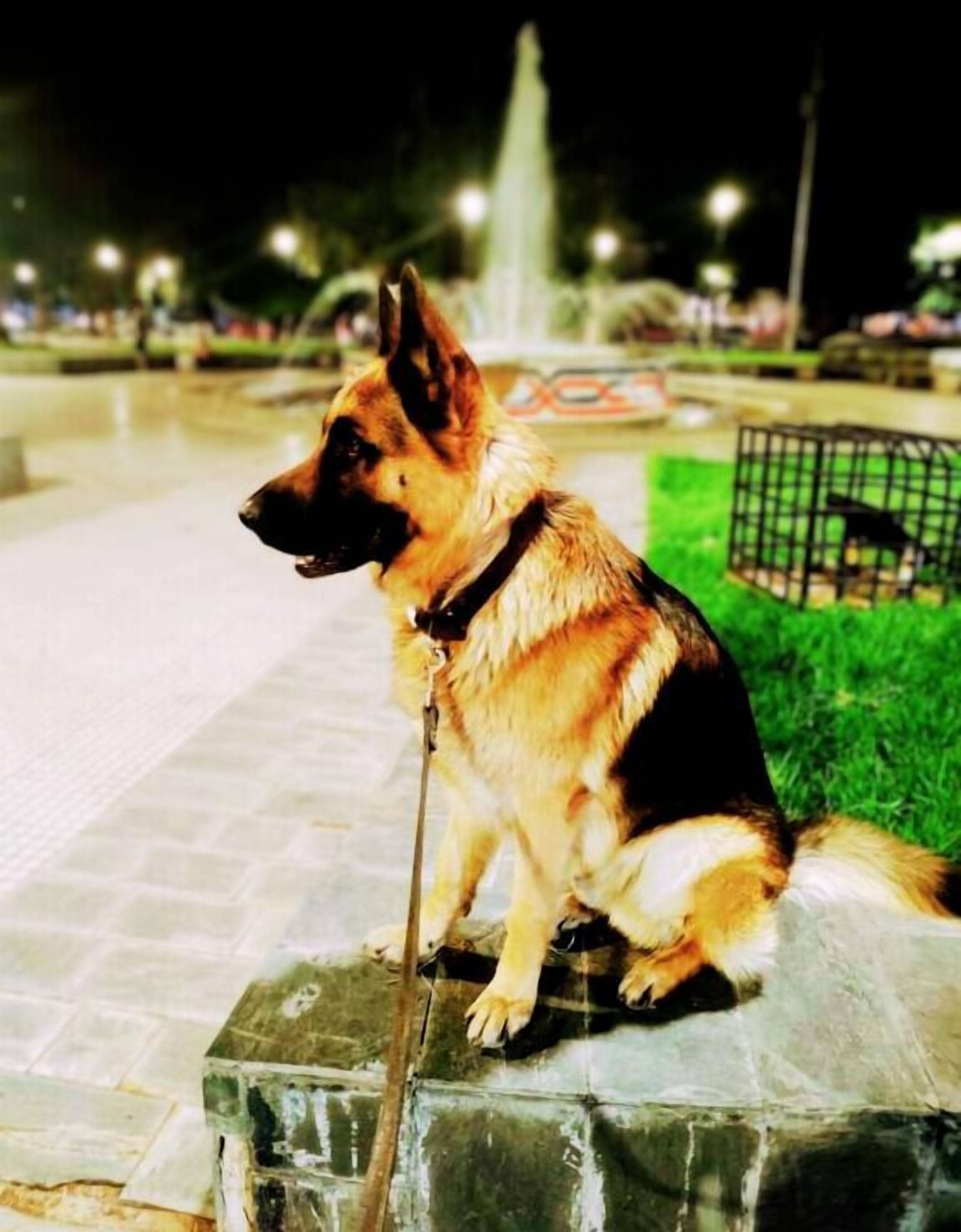 Photo - Hotel Windsor Mendoza