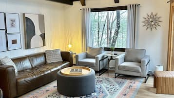 TV connectée, cheminée, livres, médiathÚque