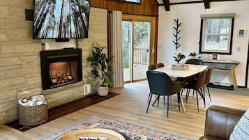 Smart TV, fireplace, books, music library
