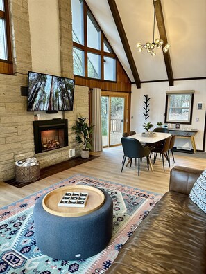 Smart TV, fireplace, books, music library