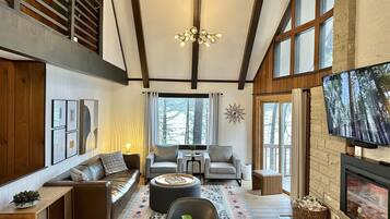 智能电视、壁炉、书、音乐库