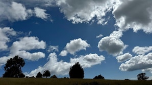 A landscape with a clear sky, scattered clouds, and a grassy field with trees. - Orchard Apartment Devonport (Don)