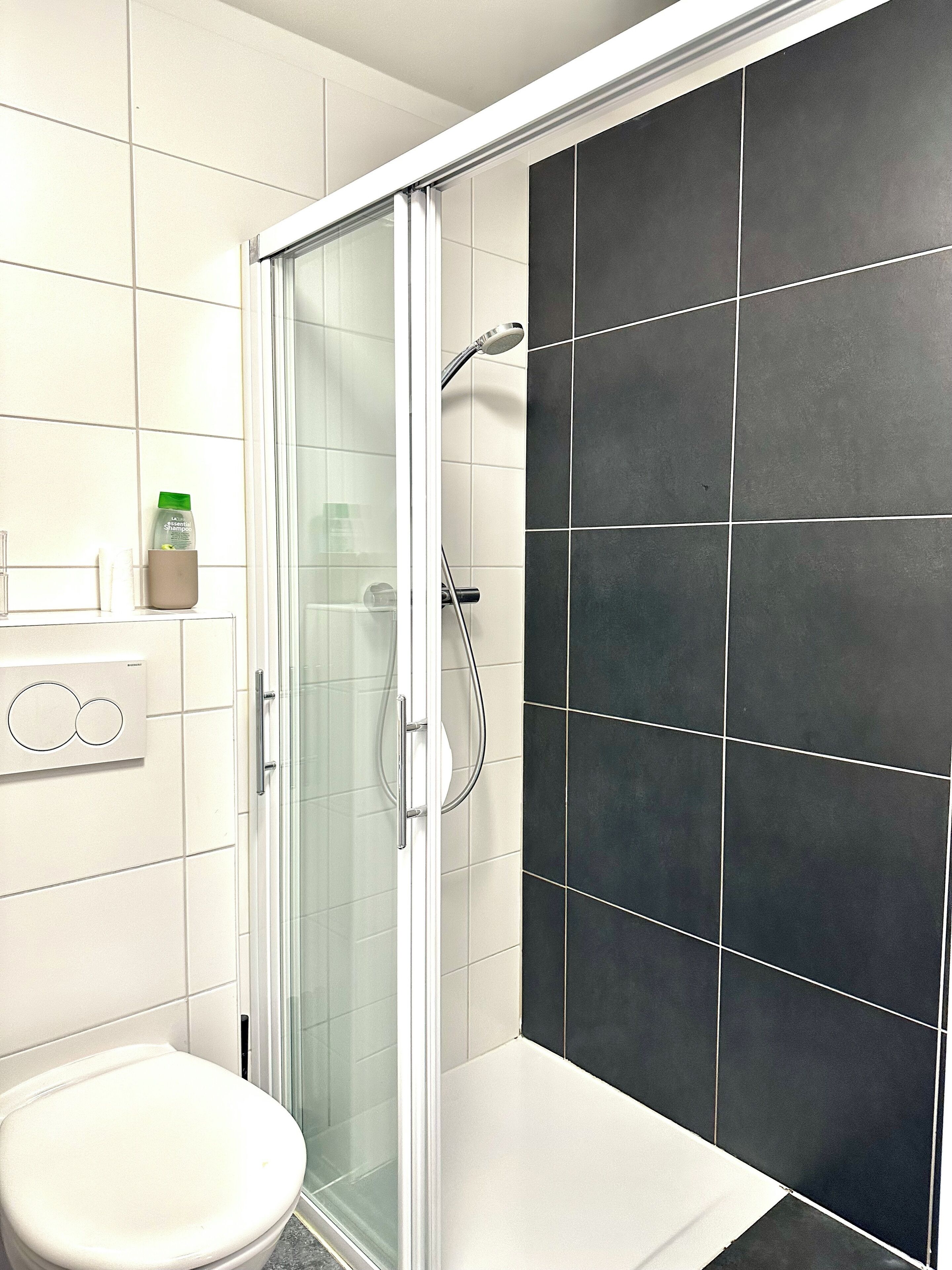 Sèche-cheveux, serviettes fournies, savon, papier toilette