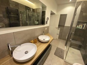 Shower, hair dryer, bidet, towels