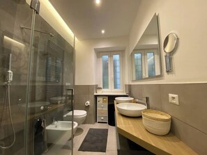 Shower, hair dryer, bidet, towels