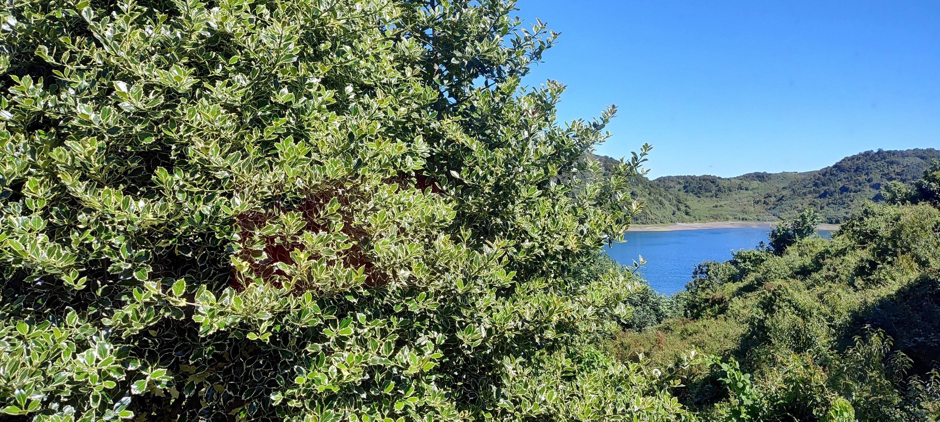 A coastal landscape with dense greenery and a clear view of the sea.