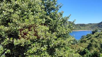 A coastal landscape with dense greenery and a clear view of the sea.