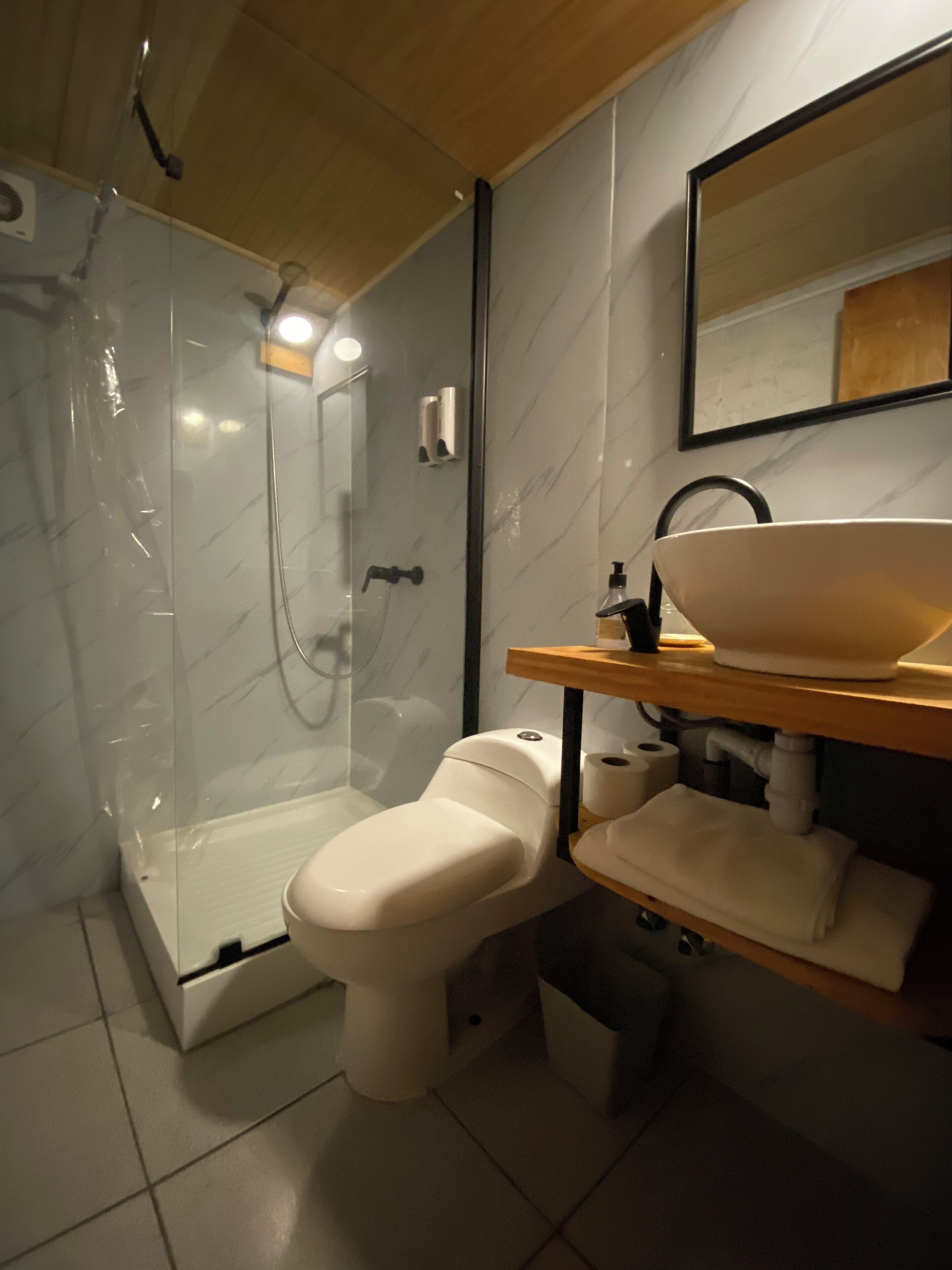 A modern bathroom with a glass-enclosed shower, a toilet, and a sink with a mirror above it.