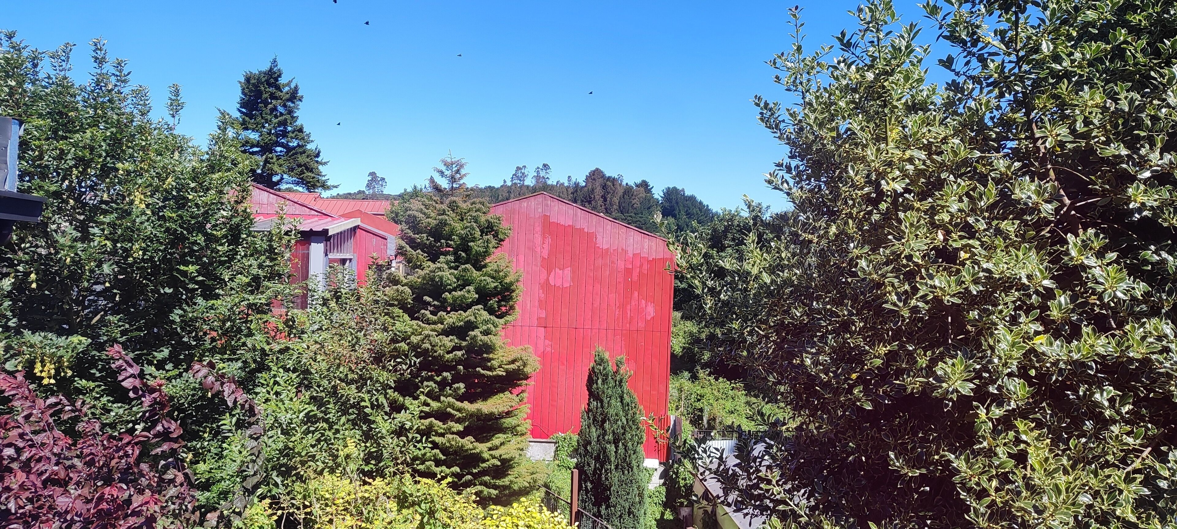 Une grange rouge, entourée d’une végétation luxuriante et d’arbres.