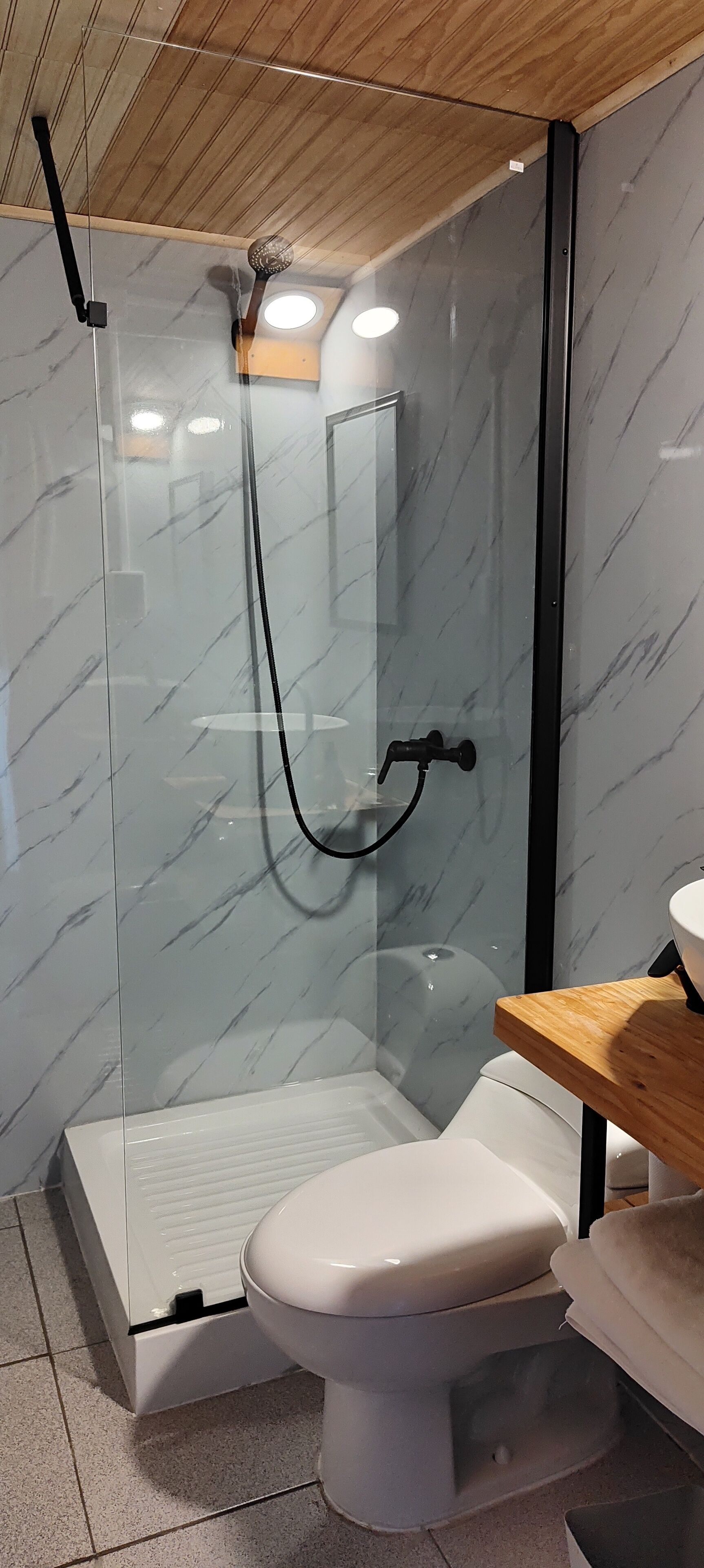 Een moderne badkamer met een douchecabine van glas, een wit toilet en een houten wastafelmeubel.
