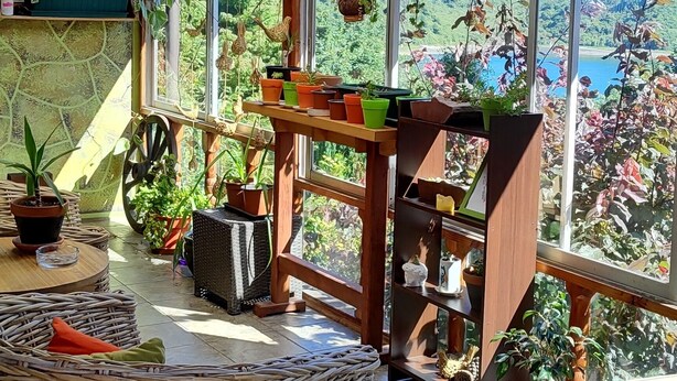 Una habitación luminosa con techo de madera, ventanas amplias y diversas macetas con plantas.