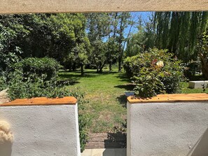 Ein Garten mit einem Weg zu einer Sitzgelegenheit, umgeben von verschiedenen Pflanzen und Bäumen.
