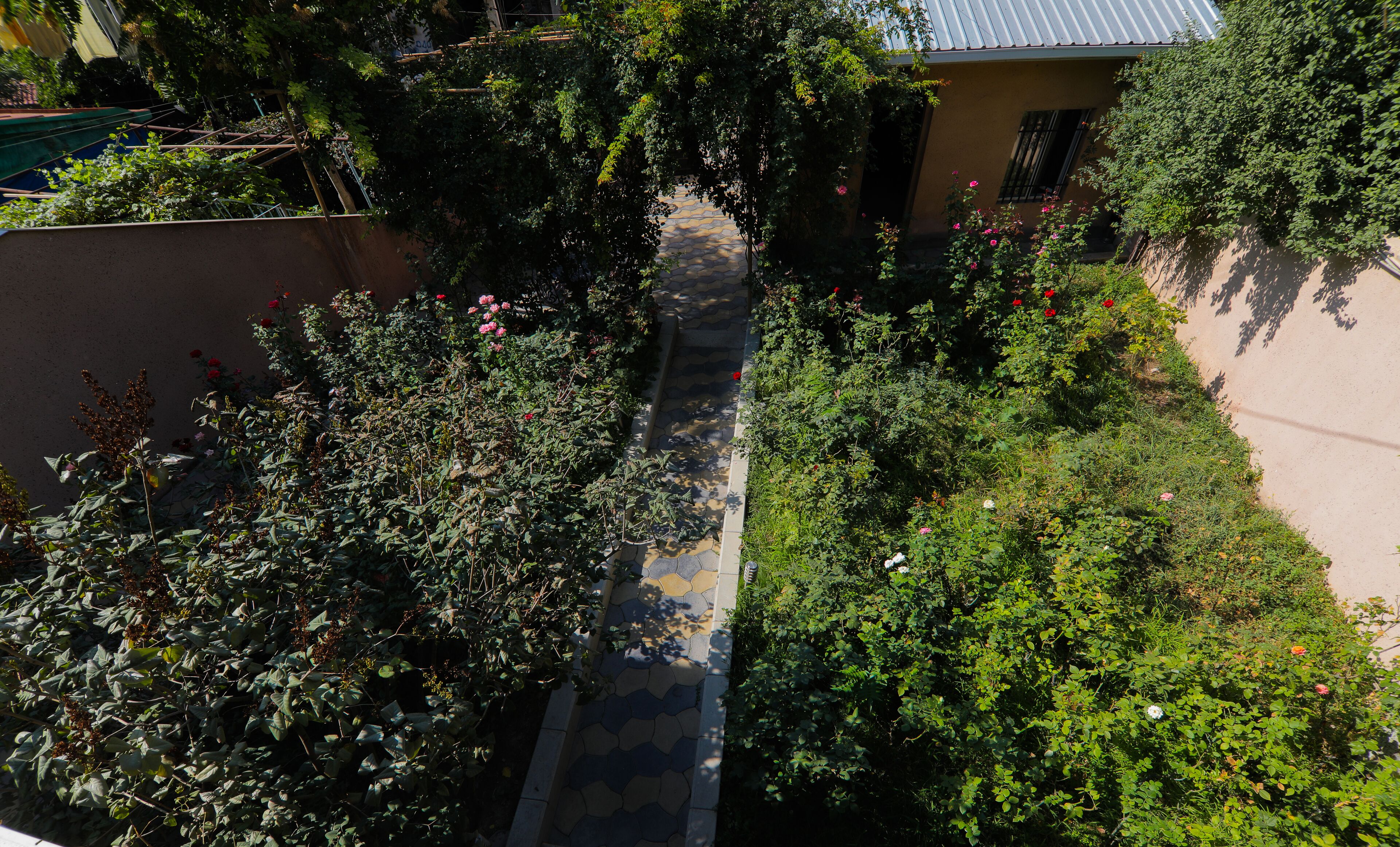 Foto - Comfort House Hotel