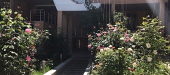Comfort House Hotel