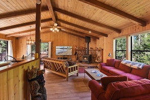 TV, fireplace